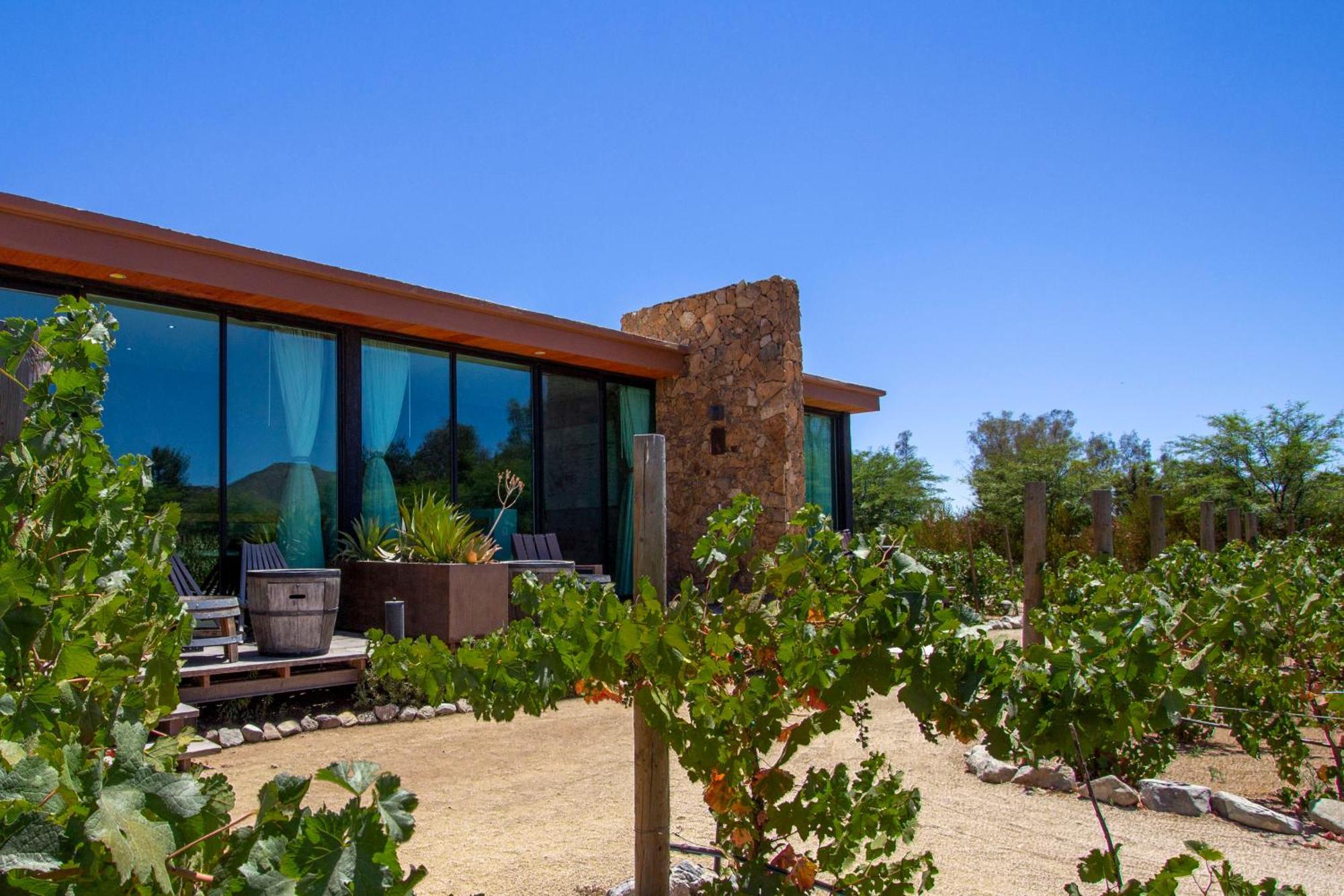 Hotel Boutique Valle De Guadalupe & Spa Phòng bức ảnh